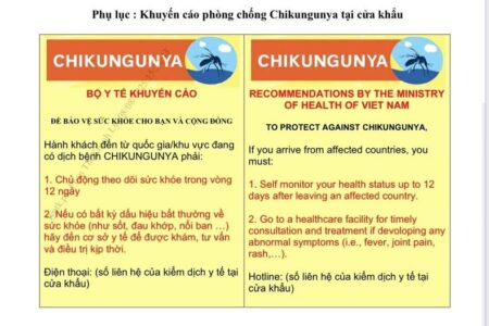 Bộ Y tế khuyến cáo phòng bệnh Chikungunya