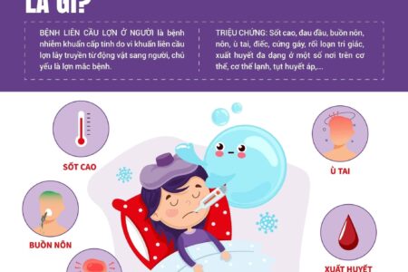 Những điều cần biết về bệnh liên cầu lợn