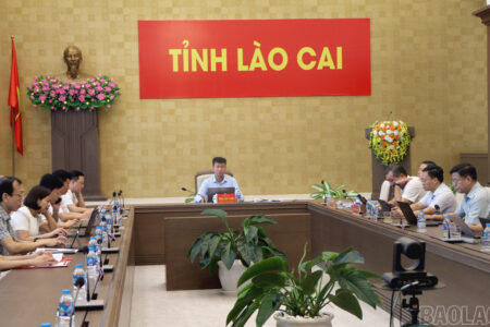 Tỉnh Lào Cai tham dự Ngày Chuyển đổi số quốc gia năm 2025